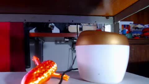 zafiro_subversiva online show from 03-16-26, 09:30