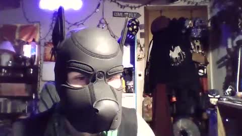 ZanePup online show from 07-06-26, 05:26