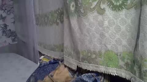 Snapshot of zarinamarlin chatting on 05-05-26, 06:21 zarinamarlin online show from 05-05-26, 06:21
