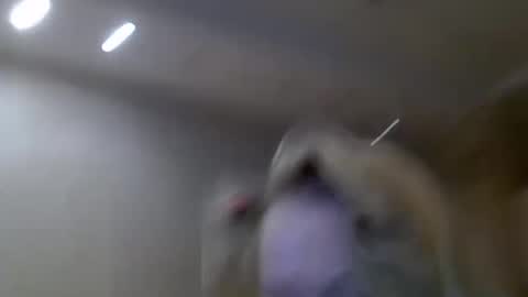 Zarina Swift online show from 02-14-25, 04:47