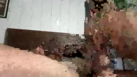 Snapshot of zayd3n69 chatting on 10-23-25, 07:07 zayden online show from 10-23-25, 07:07