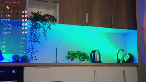 Zelda online show from 09-23-25, 06:44