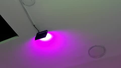 zia online show from 10-06-25, 12:02