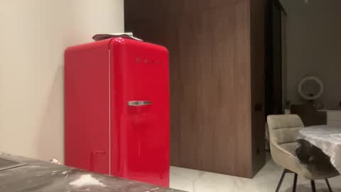 Snapshot of zidya06 chatting on 11-26-25, 04:08 Nensi online show from 11-26-25, 04:08