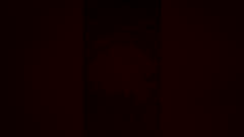 zigggy88 online show from 07-01-26, 04:58