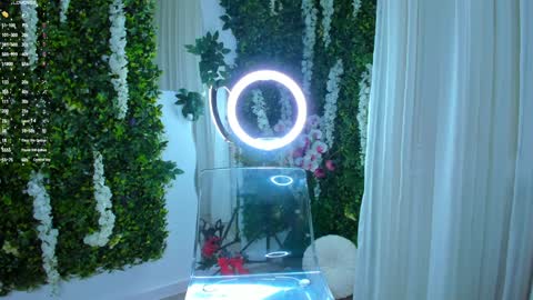 Galli online show from 12-11-24, 08:50
