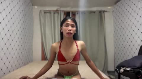 Zinnia nics online show from 11-19-25, 05:51