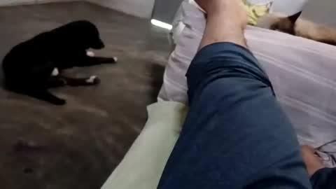 zitojose73 online show from 10-08-25, 06:49