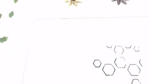 Carolina online show from 01-12-26, 08:25