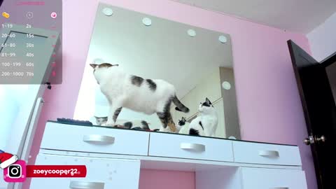 zoey  Independent model online show from 12-30-24, 08:15