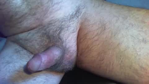 zokalo online show from 02-13-26, 11:50