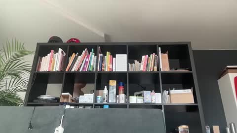 Snapshot of zwickauer1969 chatting on 02-27-25, 08:06 zwickauer1969 online show from 02-27-25, 08:06