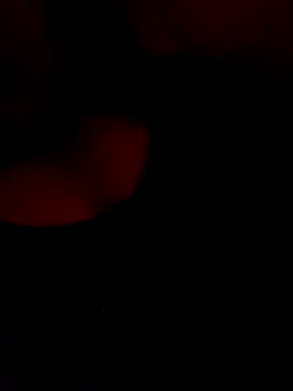 Snapshot of FerLu8 chatting on 02-26-26, 04:00 FerLu8 online show from 02-26-26, 04:00