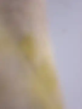 Snapshot of Mane_leet chatting on 01-14-26, 01:50 Mane leet online show from 01-14-26, 01:50