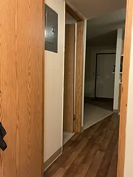 Snapshot of BustiBunny69 chatting on 12-22-24, 03:11 BustiBunny69 online show from 12-22-24, 03:11