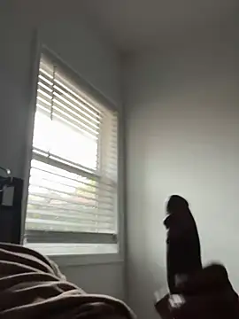 cumwithus1903 online show from 12-09-24, 03:11