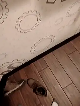 JRock69nKzoo online show from 03-20-26, 12:26