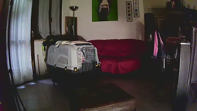 Sabrina-Palermo online show from 01-06-26, 12:31