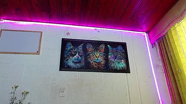 Snapshot of Niky_777 chatting on 02-05-25, 04:25 Niky 777 online show from 02-05-25, 04:25