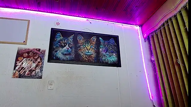 Snapshot of Niky_777 chatting on 02-20-25, 03:34 Niky 777 online show from 02-20-25, 03:34