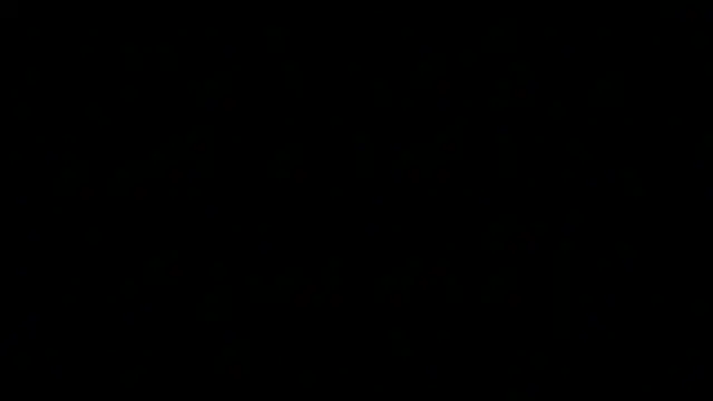 greydesire online show from 12-10-24, 03:01