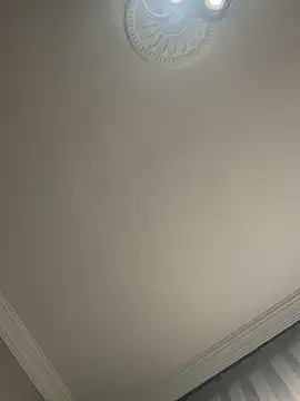 Soylu95 online show from 01-17-26, 11:04