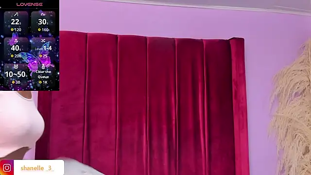 Shanelle   online show from 02-15-26, 04:31