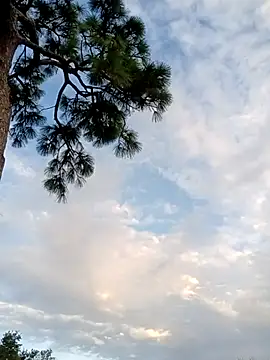 Hotbodyscottie online show from 10-05-25, 11:41