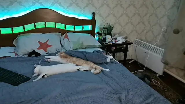 FelvivalKitty online show from 01-08-25, 09:23