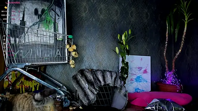 little grinch666 online show from 01-30-25, 07:59