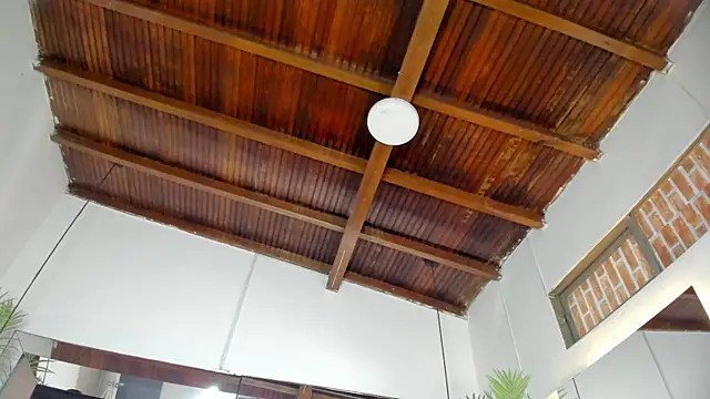 emily-fox online show from 09-23-25, 11:02