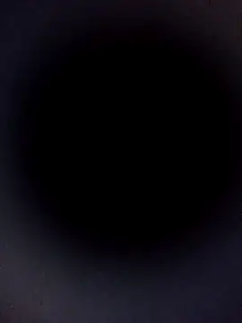 Carlabrasileira online show from 11-09-25, 04:11