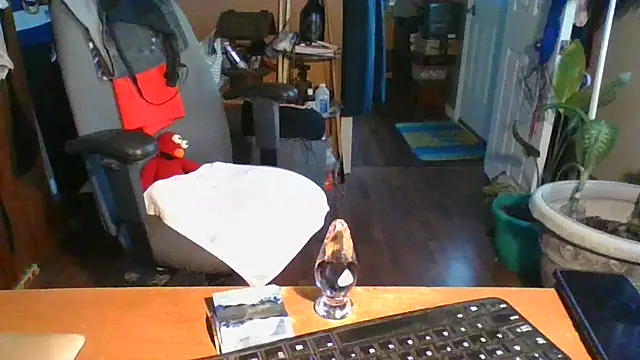 Snapshot of Daremeknot chatting on 12-31-24, 02:25 Daremeknot online show from 12-31-24, 02:25