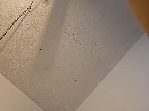 Snapshot of anyway2cum chatting on 01-19-25, 02:59 anyway2cum online show from 01-19-25, 02:59