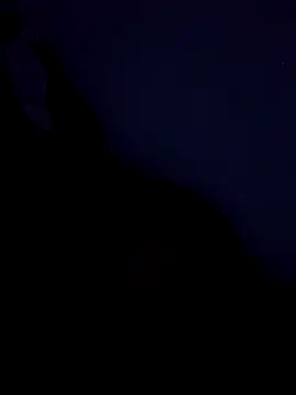 stefanie010 online show from 03-19-26, 11:36