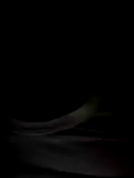 Mr Perfect Man online show from 01-08-25, 11:09