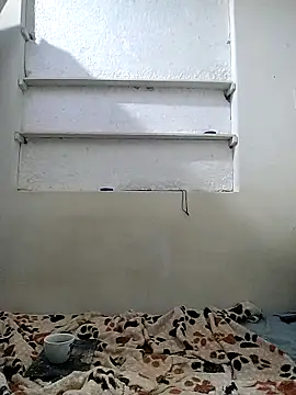 Cameron puppy online show from 04-29-26, 01:59
