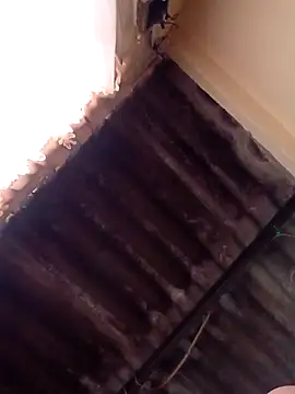 dantero online show from 01-13-25, 04:51