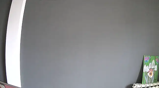 stupid babybird online show from 01-30-25, 04:55