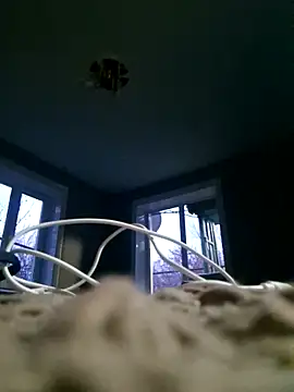 Snapshot of WhoreAnalsssxxx chatting on 03-31-26, 03:56 WhoreAnalsssxxx online show from 03-31-26, 03:56
