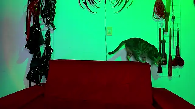 irregular fetish  online show from 02-19-26, 06:59