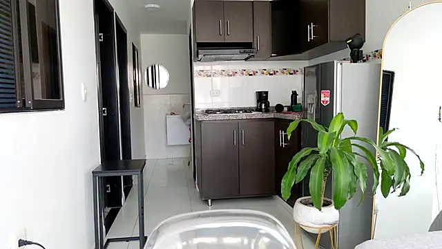 grey   27 online show from 02-22-25, 08:31