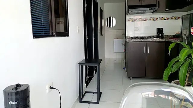 grey   27 online show from 02-28-25, 03:59