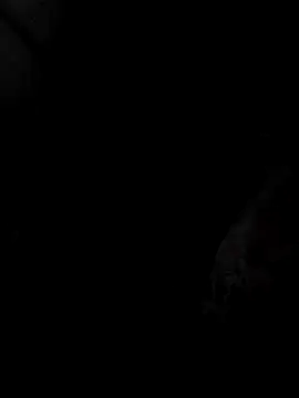 Snapshot of mia69x chatting on 12-04-25, 02:37 mia69x online show from 12-04-25, 02:37