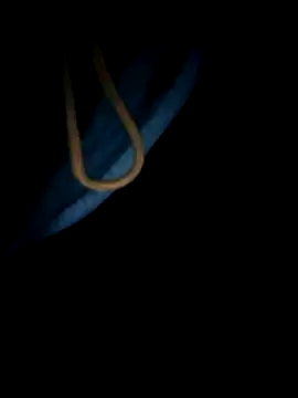 Snapshot of Babyboyy803 chatting on 07-27-26, 04:30 Babyboyy803 online show from 07-27-26, 04:30