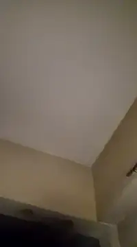 Snapshot of gala2 chatting on 01-19-25, 06:31 gala2 online show from 01-19-25, 06:31