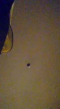 Snapshot of gala2 chatting on 02-13-25, 08:06 gala2 online show from 02-13-25, 08:06