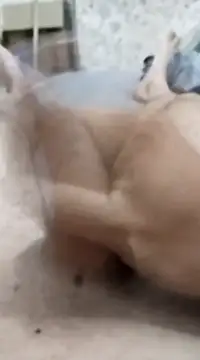 Snapshot of quierodarleche69 chatting on 01-20-25, 03:26 quierodarleche69 online show from 01-20-25, 03:26