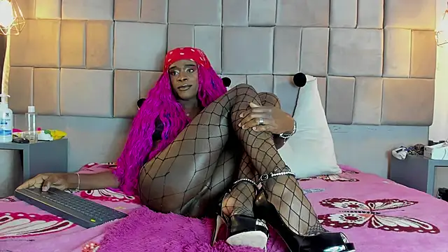 puca ebony online show from 03-08-25, 10:45