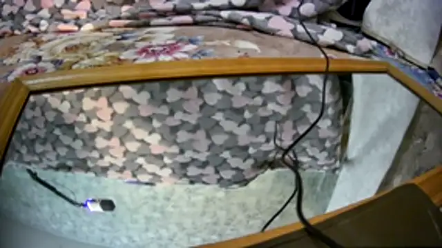 Snapshot of Kai_and_you chatting on 11-21-25, 12:21 Kai and you online show from 11-21-25, 12:21